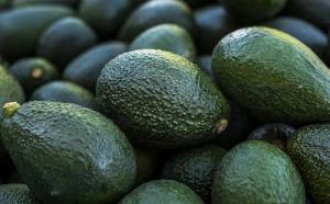 Comité de Paltas de Chile: “Tenemos que seguir posicionando nuestra fruta, porque tiene características únicas”