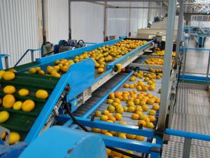 CÓMO APROVECHAR LAS PERSPECTIVAS GLOBALES EN LOS AGRONEGOCIOS