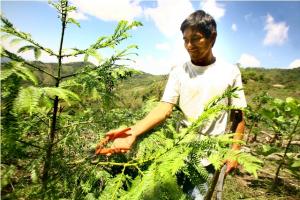 COMUNIDAD ANDINA INVERTIRÁ € 450,000 EN LA AMAZONÍA