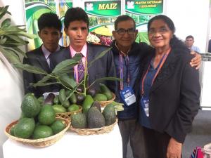 Con una producción 90% orgánica, Huancavelica busca oportunidades para sus paltas, quinua y maca en el mundo