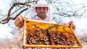 Conapi Perú: más de 50.000 personas se dedican a la apicultura en Perú