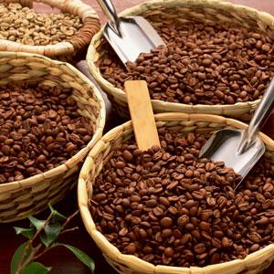 CONCYTEC FINANCIARÁ INVESTIGACIONES PARA MEJORAR PRODUCCIÓN DE CAFÉ