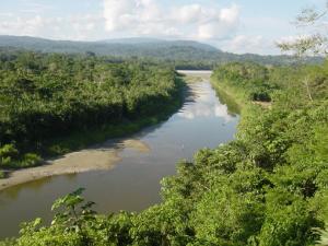 CONFIRMAN QUE NO HAY PRESENCIA DE PETRÓLEO EN EL RIO NAPO