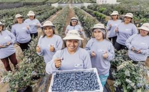 Congreso impulsa ley que modifica régimen agrario