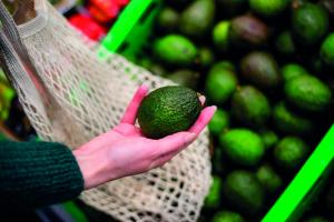 Consumo de palta en Chile supera los 8 kilos por persona al año