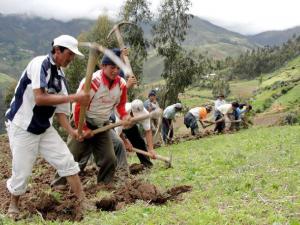 Conveagro solicitó cambio de ministro de Agricultura y Riego