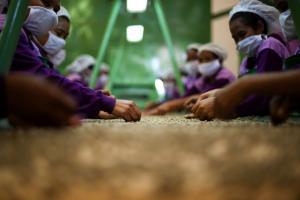 COOPERATIVA BAGUA GRANDE INVIRTIÓ S/3.5 MILLONES EN EQUIPAMIENTO INDUSTRIAL