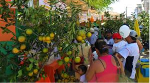 COORDINAN ACCIONES PARA EL XI FESTIVAL DE LA NARANJA EN JUANJUÍ