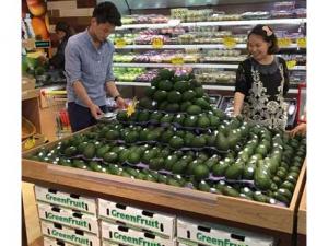 Corea del Sur importaría 5 mil toneladas de palta este año