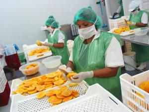 COREA DEL SUR INCREMENTA DEMANDA DE ALIMENTOS PERUANOS