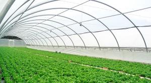 “Cuando la sierra esté llena de invernaderos con ayuda de la minería formal, la gente rechazará la minería ilegal”