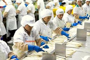 DANPER INCREMENTARÁ 225 HECTÁREAS  DE ESPÁRRAGOS EL 2015