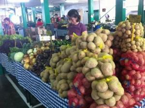 DEFINIRÁ TERRENO PARA MERCADO DE AGRICULTORES