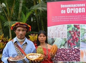 Denominación de origen “Cacao Amazonas Perú” beneficia a 1.200 familias de dicha región