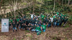 Devida impulsa técnicas especializadas para mejorar el café en Huánuco
