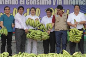 Devida propone recuperar el tiempo perdido con los agricultores plataneros