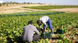 Dinamismo del sector agropecuario peruano se pone en riesgo debido a propuestas inadecuadas del Poder Legislativo