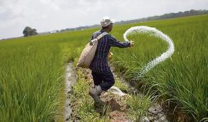 Direcagro estima que urea llegaría a Perú el 30 de enero