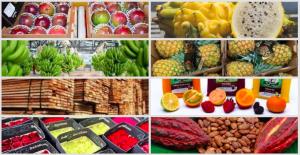 Ecuador logra récord en agroexportaciones: US$ 10.559 millones