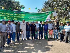 EEA VIRU del INIA realizó el “II Encuentro Regional de Intercambio de Experiencias de Productores de Palto en Chao - La Libertad”