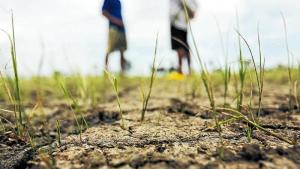 “El agro debe prepararse con anticipación para enfrentar los efectos del Niño Costero”