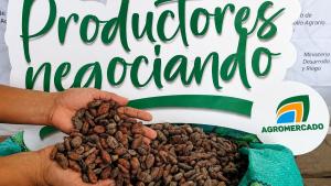 El cacao de Tumbes rumbo a Europa: Productores de Zarumilla concretan envío de más de 5 toneladas con certificación orgánica a Francia