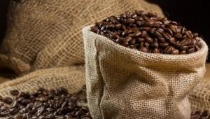 “El café demuestra que los cultivos alternativos actúan como barreras efectivas contra los cultivos ilícitos”