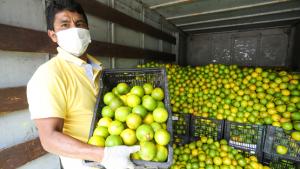 El camino para resolver el problema del crédito agrario en Perú pasa por la organización de los productores y fondos especializados