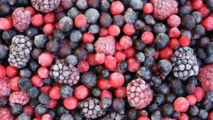 El congelado no es un descarte: el giro estratégico que Perú necesita para liderar el mercado global de frutas
