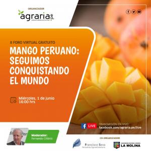 El mango peruano a la conquista el mundo