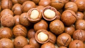 El mundo está necesitando más nueces