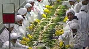 El panorama para la agroindustria en medio de incertidumbre política y la nueva ley agraria