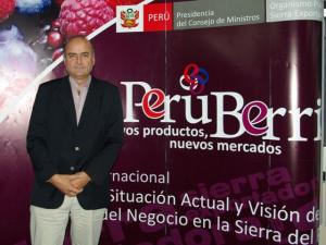 EL PERÚ NO TIENE COMPETENCIA EN LA PRODUCCIÓN Y EXPORTACIÓN DE BERRIES 