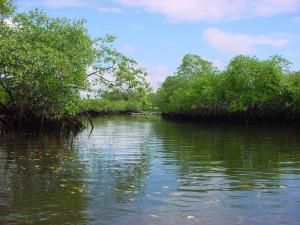 EL SEGURO AGRARIO NO LLEGÓ A TUMBES