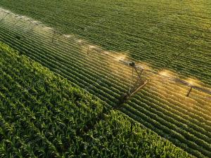 El uso de nuevas tecnologías puede optimizar hasta en 20% el uso de recursos hídricos, insumos agrícolas y consumos energéticos