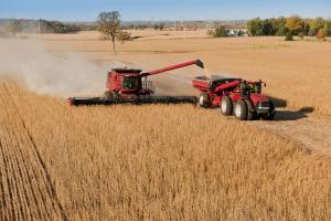 Elevan proyección de producción mundial de soya, maíz y trigo