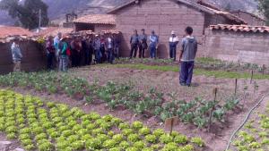 EMPRENDIMIENTOS RURALES EN HUAURA SERÁN FINANCIADOS POR HAKU WIÑAY