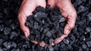 En Piura se construirá primera planta de biochar para impulsar la agricultura regenerativa