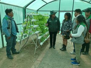 En un 25% avanzan trabajos de instalación de módulos hidropónicos para enfrentar fenómeno El Niño Global