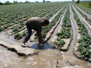 ENTREGAN A COMUNIDADES CAMPESINAS LICENCIAS DE USO DE AGUA