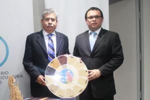 ENVÍOS DE GRANOS ANDINOS SUPERARÁN LOS US$ 190 MILLONES AL CIERRE DE AÑO