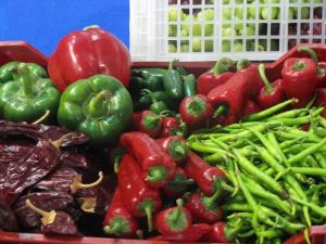 ENVÍOS DE SUBSECTOR AGRO Y AGROPECUARIO ÚNICOS CON CRECIMIENTO ACELERADO