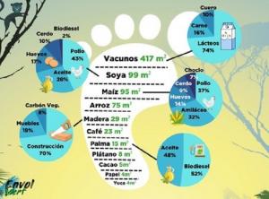 Envol Vert: La huella forestal promedia de un peruano es de 773 m2