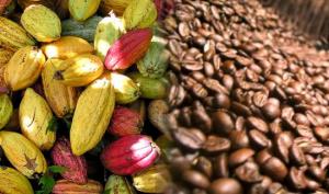Es momento de posicionar al café y al cacao como los dos motores estratégicos más importantes de la agroexportación