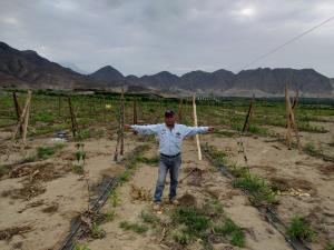 “Es necesario implementar el riego tecnificado para reactivar la pequeña y mediana agricultura”