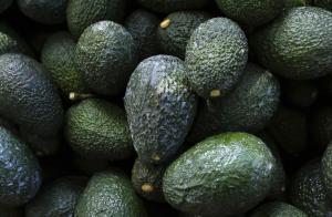 Estados Unidos suspende las importaciones de aguacate mexicano