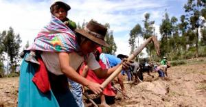 Este viernes se realizará la I Asamblea Nacional Agraria 2022 de Planagro