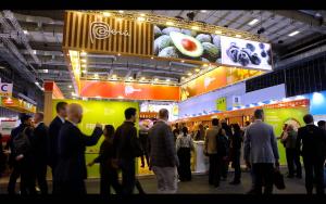 Expectativa de ventas en Fruit Logistica 2024 alcanzaron los US$ 450 millones