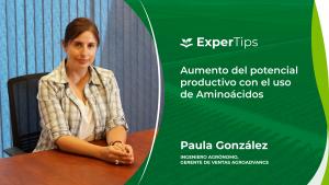 Expertips: AminoAdvance 28