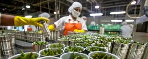 EXPORTACIÓN AGROINDUSTRIAL CRECIÓ 2.3% EN PRIMEROS CINCO MESES DEL AÑO